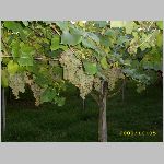 Italien2008 0396.JPG